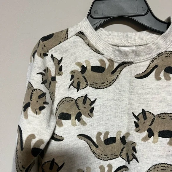 Carter's Size 18 Months Gray Brown Dinosaur Pull Over Long Sleeve Sweatshirt - Picture 2 of 7